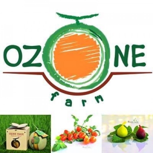 Sunset in the mountains